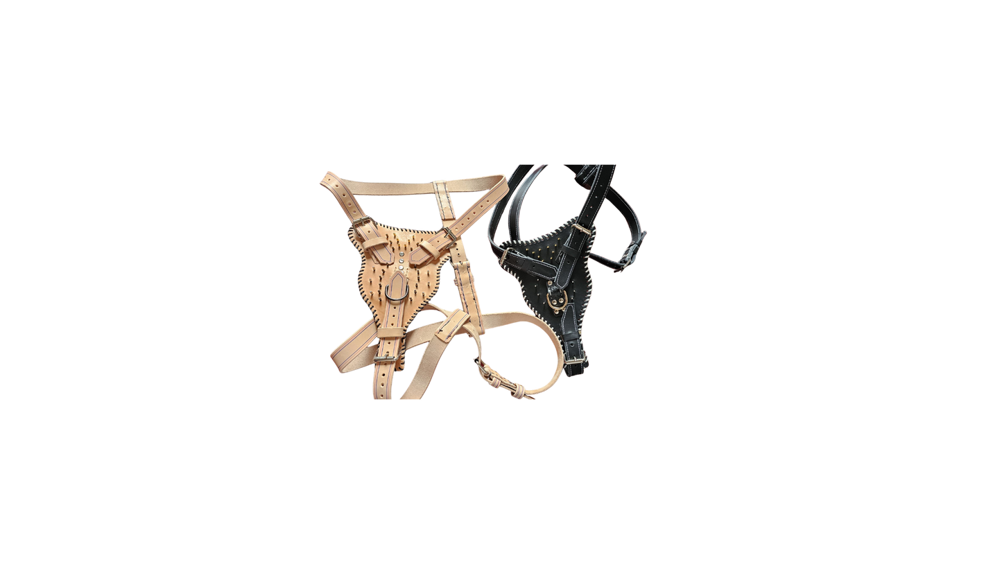 Arneses de Cuero a Medida: Artesanía, Seguridad y Estilo