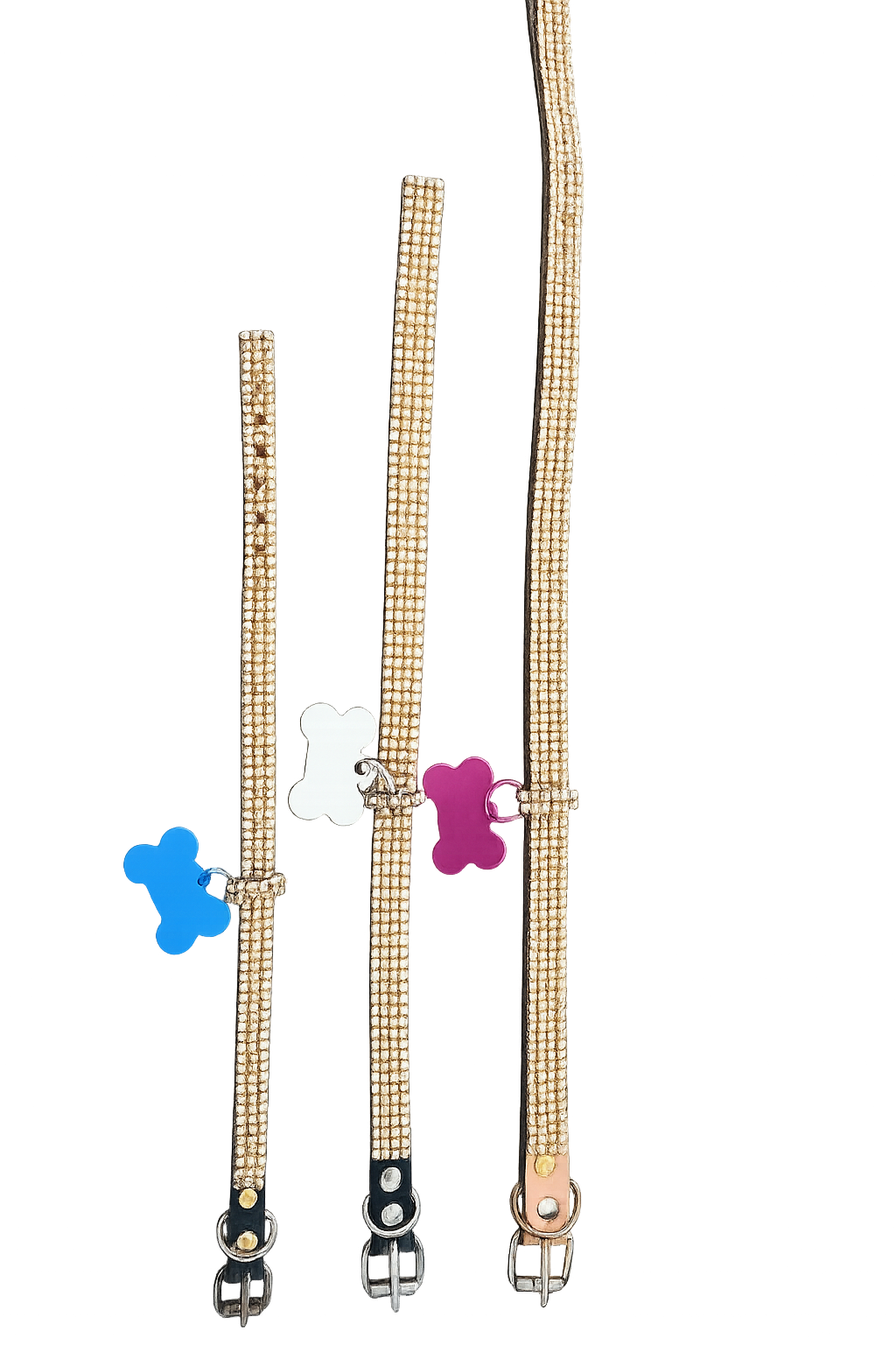 COLLAR  PERROS, GATOS