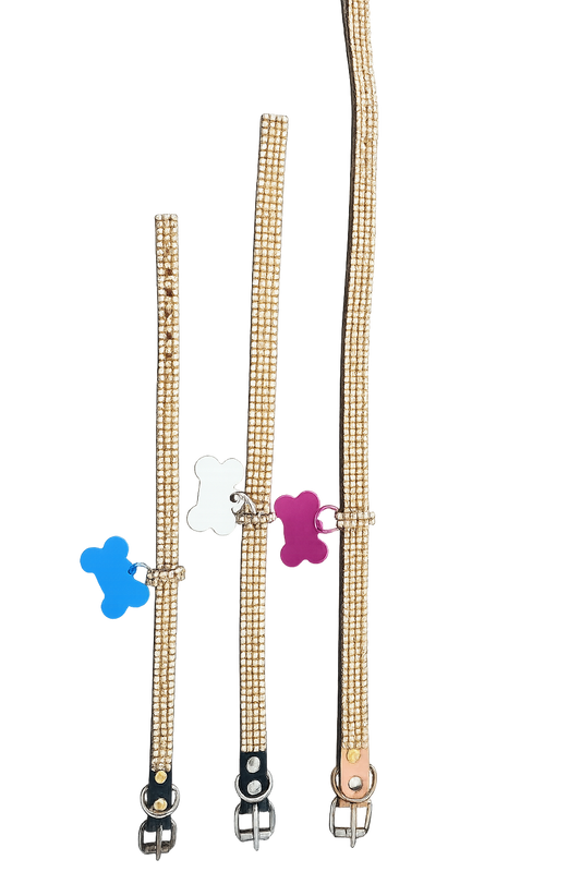 COLLAR  PERROS, GATOS