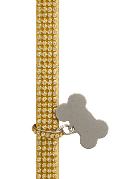 COLLAR  PERROS, GATOS